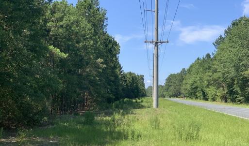 Photo #16 of SOLD property in N. Turnpike Road, Wagram, NC 179.0 acres