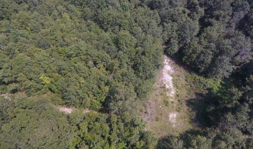 Photo #17 of SOLD property in N. Turnpike Road, Wagram, NC 179.0 acres