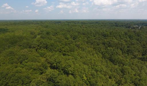 Photo #3 of SOLD property in N. Turnpike Road, Wagram, NC 179.0 acres