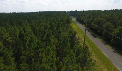 Photo #4 of SOLD property in N. Turnpike Road, Wagram, NC 179.0 acres