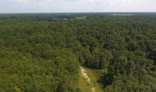 Photo #5 of SOLD property in N. Turnpike Road, Wagram, NC 179.0 acres