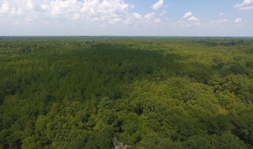 Photo #7 of SOLD property in N. Turnpike Road, Wagram, NC 179.0 acres