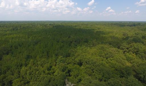 Photo #7 of SOLD property in N. Turnpike Road, Wagram, NC 179.0 acres