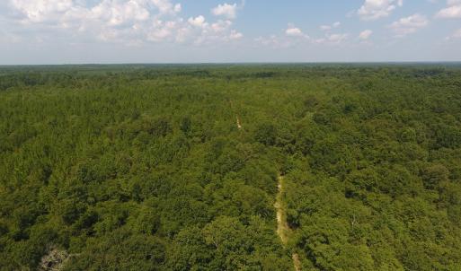 Photo #8 of SOLD property in N. Turnpike Road, Wagram, NC 179.0 acres