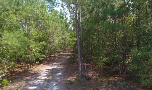 Photo #9 of SOLD property in N. Turnpike Road, Wagram, NC 179.0 acres