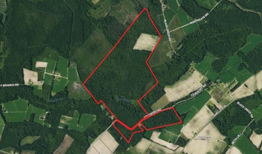 Photo #1 of SOLD property in Off Coventry Road, Nichols, SC 253.6 acres