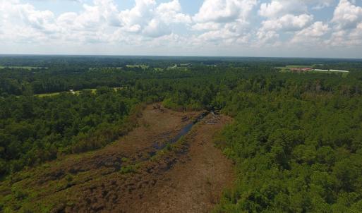 Photo #11 of SOLD property in Off Coventry Road, Nichols, SC 253.6 acres