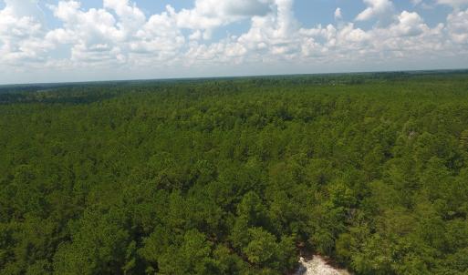 Photo #12 of SOLD property in Off Coventry Road, Nichols, SC 253.6 acres
