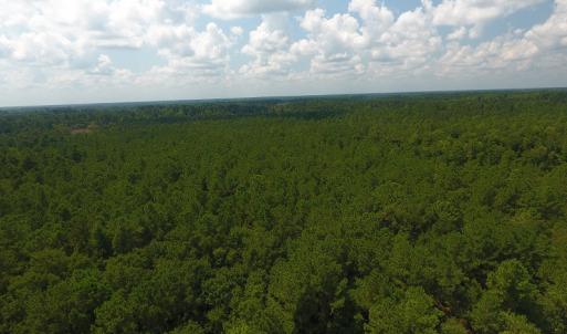 Photo #13 of SOLD property in Off Coventry Road, Nichols, SC 253.6 acres