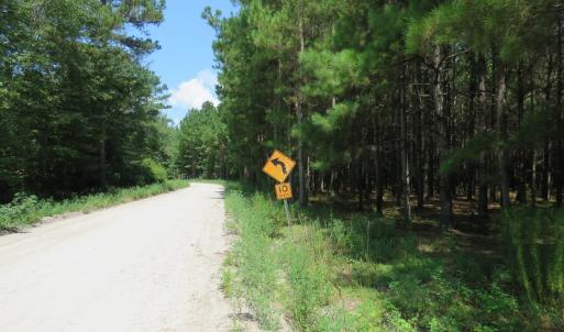 Photo #15 of SOLD property in Off Coventry Road, Nichols, SC 253.6 acres