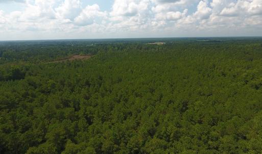 Photo #3 of SOLD property in Off Coventry Road, Nichols, SC 253.6 acres