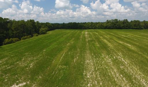 Photo #4 of SOLD property in Off Coventry Road, Nichols, SC 253.6 acres