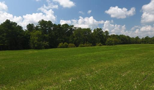 Photo #5 of SOLD property in Off Coventry Road, Nichols, SC 253.6 acres