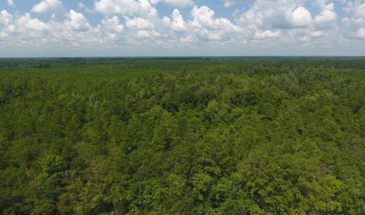 Photo #6 of SOLD property in Off Coventry Road, Nichols, SC 253.6 acres