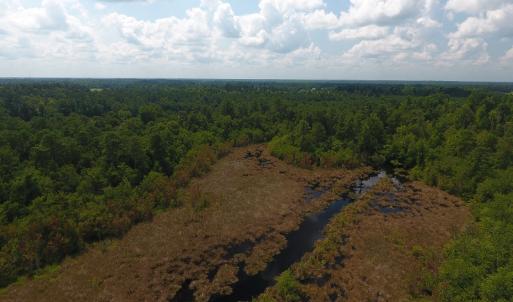 Photo #7 of SOLD property in Off Coventry Road, Nichols, SC 253.6 acres