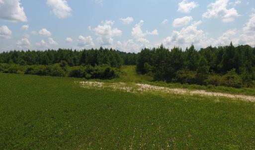 Photo #9 of SOLD property in Off Coventry Road, Nichols, SC 253.6 acres
