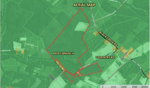 Photo #16 of SOLD property in Off Coventry Road, Nichols, SC 253.6 acres