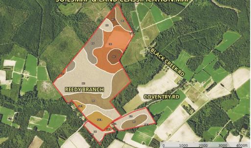 Photo #18 of SOLD property in Off Coventry Road, Nichols, SC 253.6 acres
