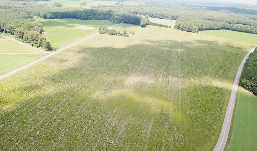Photo #3 of SOLD property in Off Raynor Road, Smithfield, VA 74.0 acres