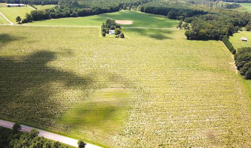Photo #4 of SOLD property in Off Raynor Road, Smithfield, VA 74.0 acres