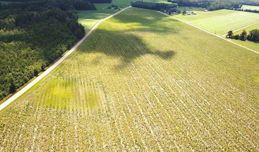 Photo #5 of SOLD property in Off Raynor Road, Smithfield, VA 74.0 acres