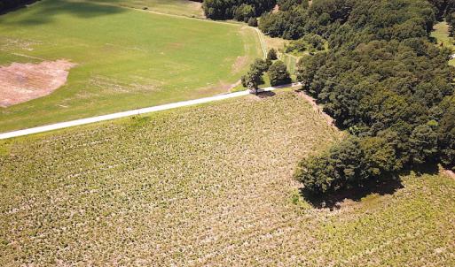 Photo #6 of SOLD property in Off Raynor Road, Smithfield, VA 74.0 acres