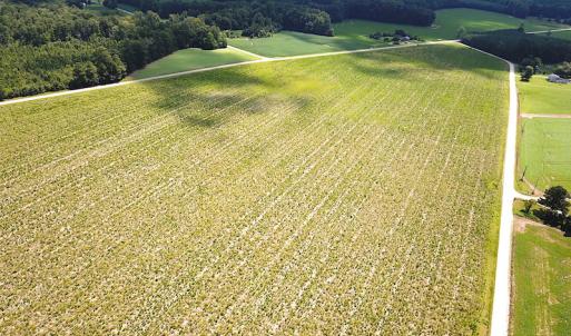 Photo #7 of SOLD property in Off Raynor Road, Smithfield, VA 74.0 acres