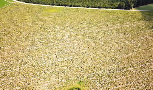 Photo #8 of SOLD property in Off Raynor Road, Smithfield, VA 74.0 acres