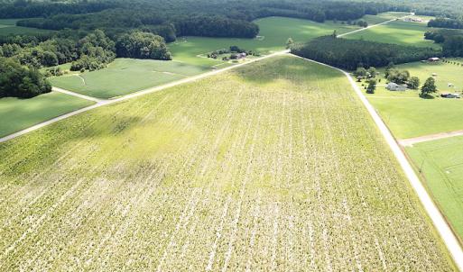 Photo #9 of SOLD property in Off Raynor Road, Smithfield, VA 74.0 acres