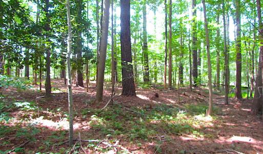 Photo #15 of SOLD property in Off Raynor Road, Smithfield, VA 74.0 acres