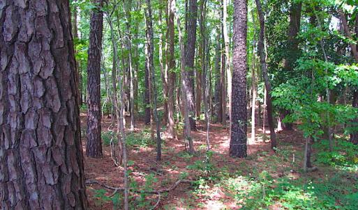 Photo #21 of SOLD property in Off Raynor Road, Smithfield, VA 74.0 acres