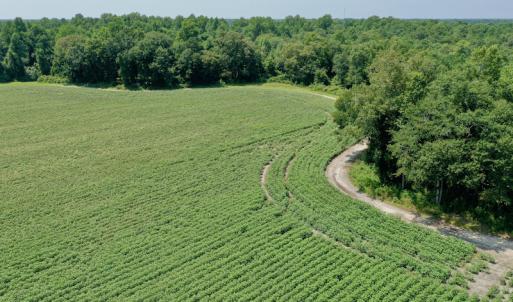 Photo #7 of SOLD property in Off Center Hill Road, Tyner, NC 56.8 acres