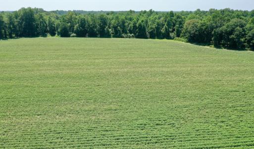 Photo #8 of SOLD property in Off Center Hill Road, Tyner, NC 56.8 acres