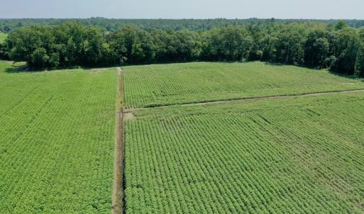 Photo #10 of SOLD property in Off Center Hill Road, Tyner, NC 56.8 acres