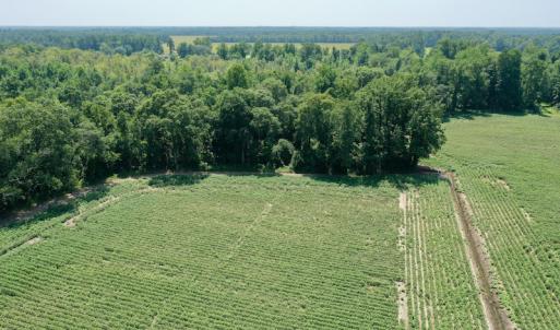 Photo #12 of SOLD property in Off Center Hill Road, Tyner, NC 56.8 acres
