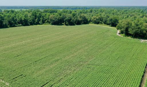 Photo #14 of SOLD property in Off Center Hill Road, Tyner, NC 56.8 acres