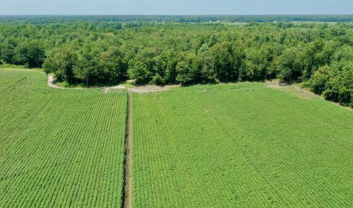 Photo #15 of SOLD property in Off Center Hill Road, Tyner, NC 56.8 acres
