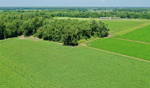 Photo #16 of SOLD property in Off Center Hill Road, Tyner, NC 56.8 acres