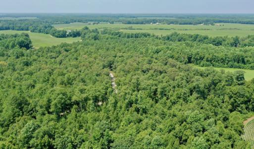 Photo #17 of SOLD property in Off Center Hill Road, Tyner, NC 56.8 acres