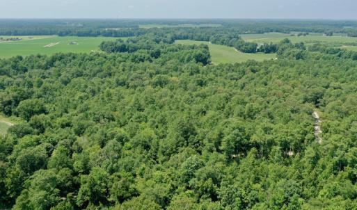 Photo #18 of SOLD property in Off Center Hill Road, Tyner, NC 56.8 acres