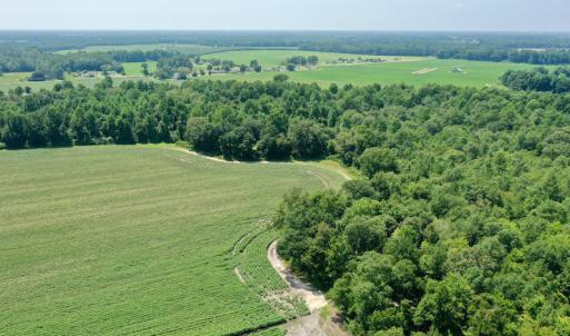 Photo #19 of SOLD property in Off Center Hill Road, Tyner, NC 56.8 acres