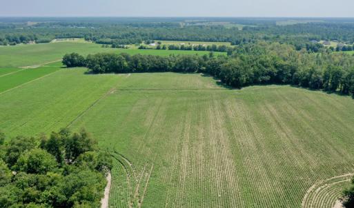 Photo #20 of SOLD property in Off Center Hill Road, Tyner, NC 56.8 acres