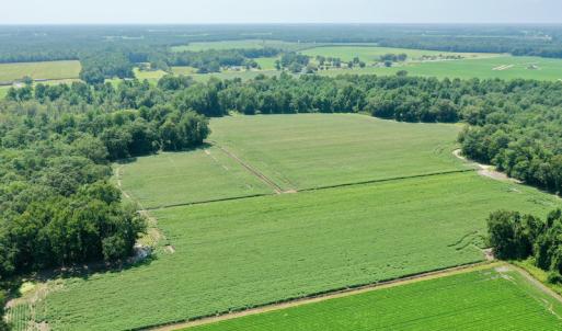 Photo #22 of SOLD property in Off Center Hill Road, Tyner, NC 56.8 acres