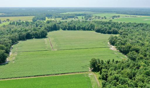 Photo #23 of SOLD property in Off Center Hill Road, Tyner, NC 56.8 acres