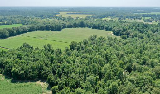 Photo #24 of SOLD property in Off Center Hill Road, Tyner, NC 56.8 acres