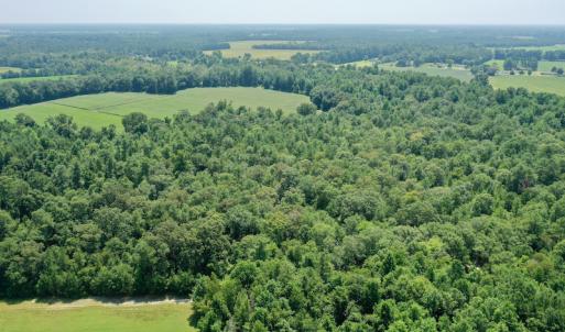 Photo #25 of SOLD property in Off Center Hill Road, Tyner, NC 56.8 acres