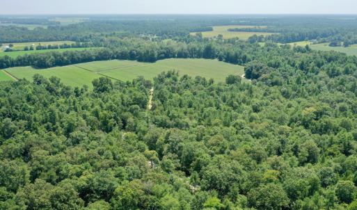 Photo #26 of SOLD property in Off Center Hill Road, Tyner, NC 56.8 acres