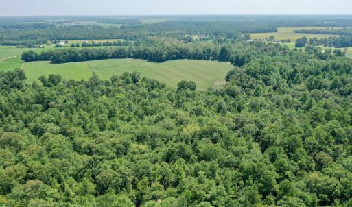 Photo #27 of SOLD property in Off Center Hill Road, Tyner, NC 56.8 acres