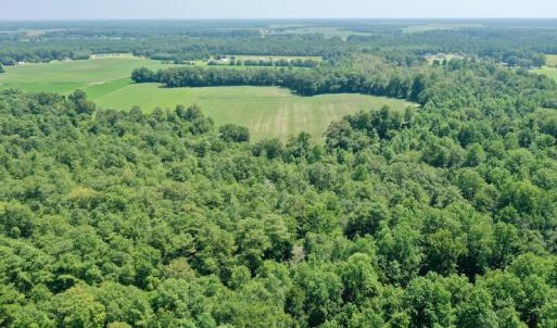 Photo #28 of SOLD property in Off Center Hill Road, Tyner, NC 56.8 acres