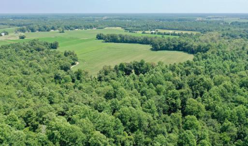 Photo #29 of SOLD property in Off Center Hill Road, Tyner, NC 56.8 acres